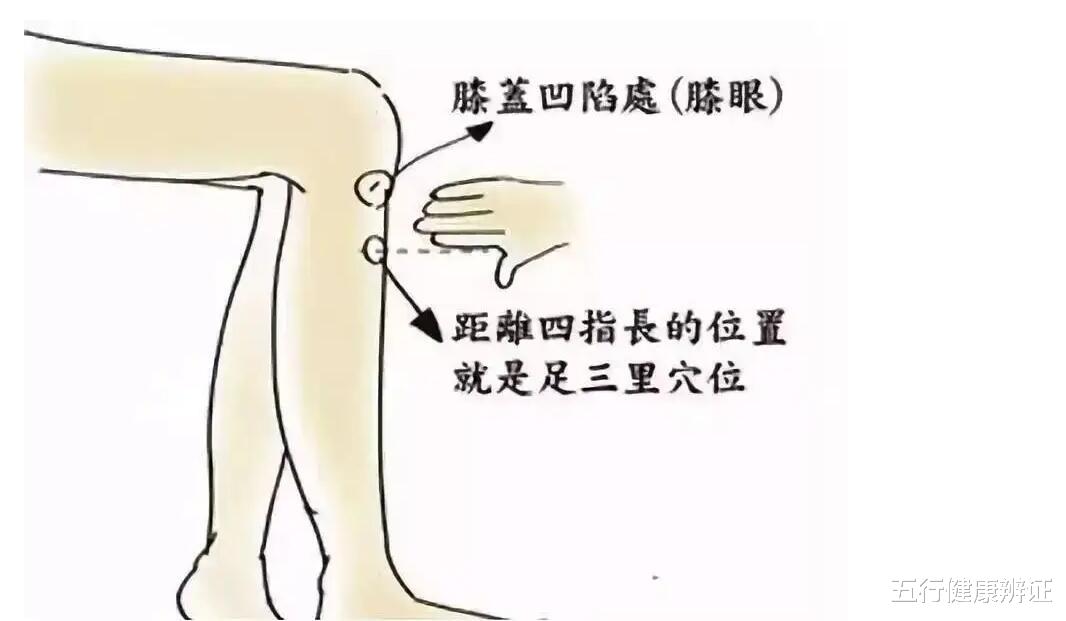 脾胃|手掌中的大鱼际，出现这2种异常，说明体内有寒、痛、赤、热