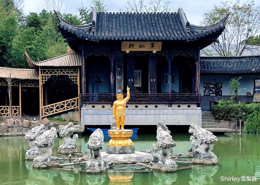 古镇|上海少见的良心寺庙，门票斋饭停车均免费，庭院禅意十足却鲜为人知