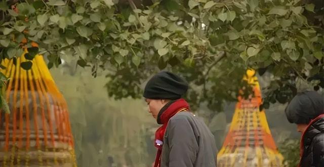 王菲|53岁歌坛天后王菲，一身尼姑打扮现身庙宇，气质与舞台风大不同