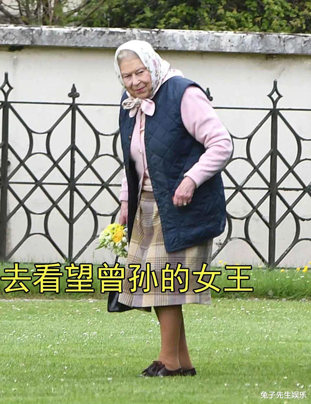 菲利普亲王|7岁夏洛特长大害羞了，陪95岁女王合影，从女王身边挪到沙发后面