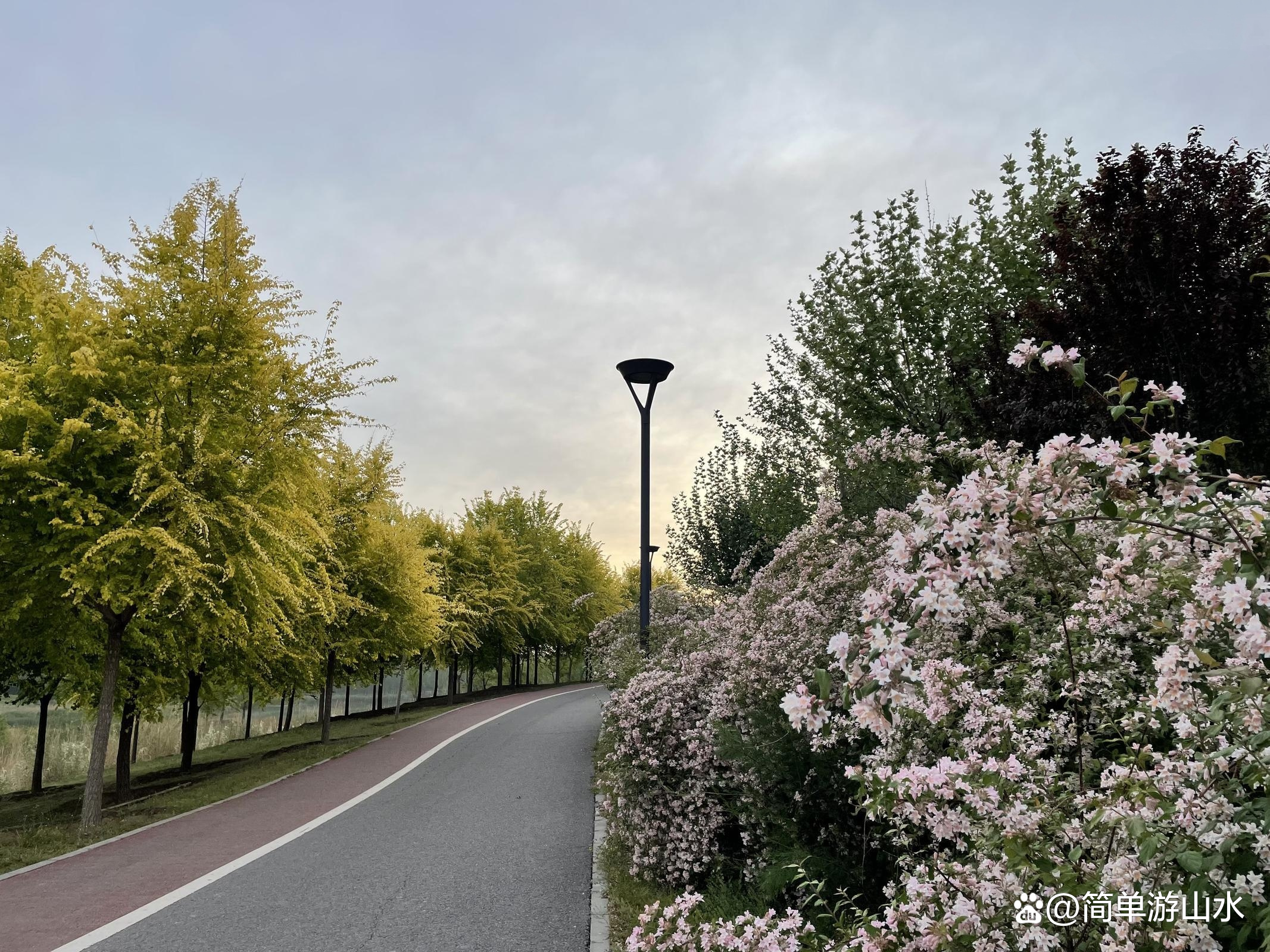 |玩水捞鱼公园大推荐之一，马家湾湿地公园