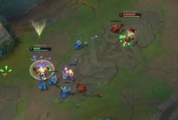 赏金|“芒果鱼能打过职业选手吗?”机会是有的,粉丝:理性看待还差点