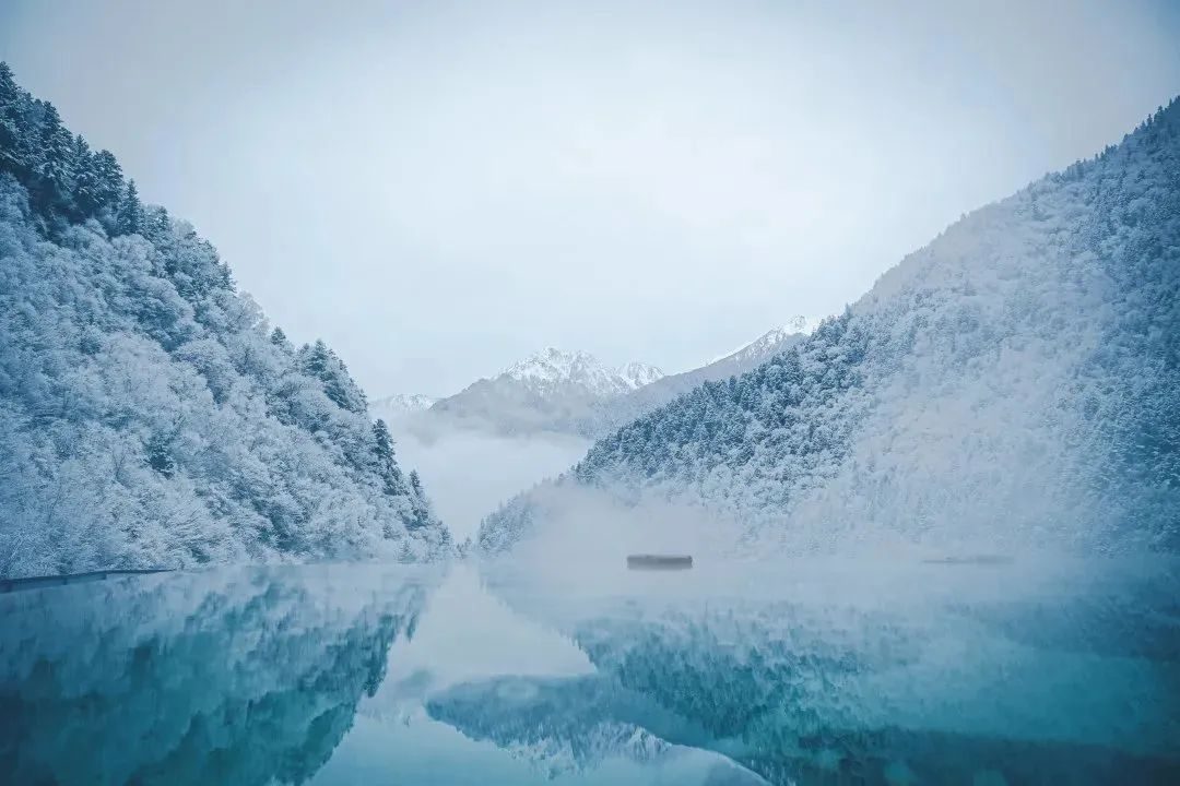 海昌海洋公园|“冬游阿坝”模式已开启，快来解锁！