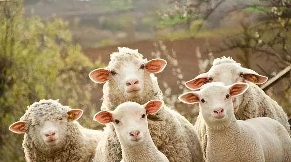 求职|应届生找工作好难，找个月薪三千的工作，也要卷得死去活来