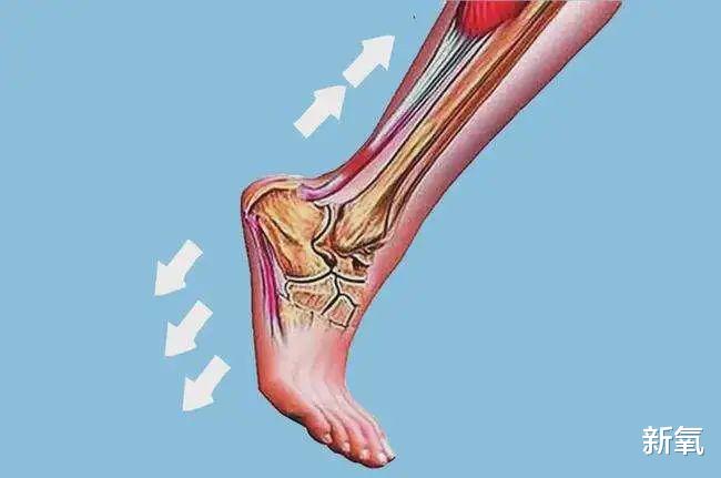 姐姐|日本男人最喜欢的女星身材连续4年拿下榜首，网友：姐姐我可以