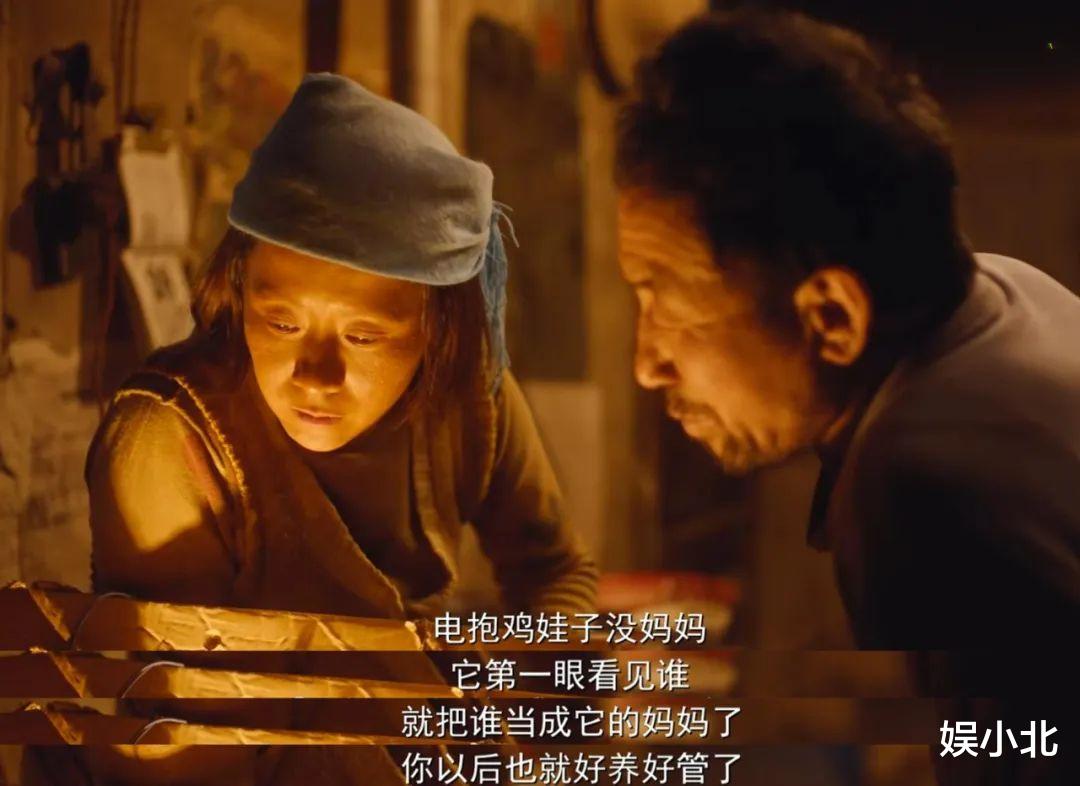 鸡蛋|从二舅到马有铁，可悲的从来都不是人物本身，而是观众