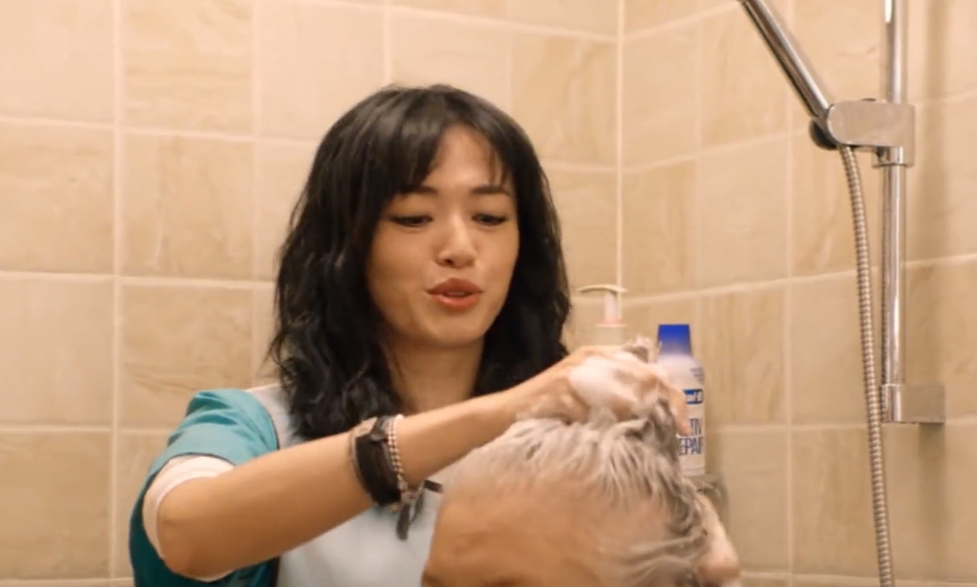 彭莱|满嘴“国粹”，倒前夫骨灰! 姚晨新剧为何火爆全网? 看完很难不上瘾