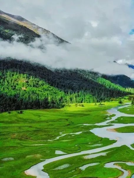 西藏|0疫情!低高反!西藏6~8月已达颜值巅峰