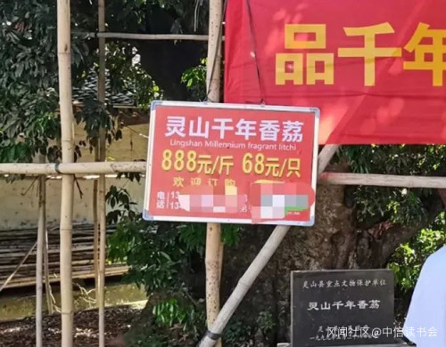 一年狂吃300万吨,最贵55万一颗:中国荔枝到底哪家强?