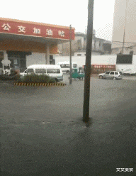 |搞笑GIF趣图:兄弟,这要是在职场,你肯定能爬的更高