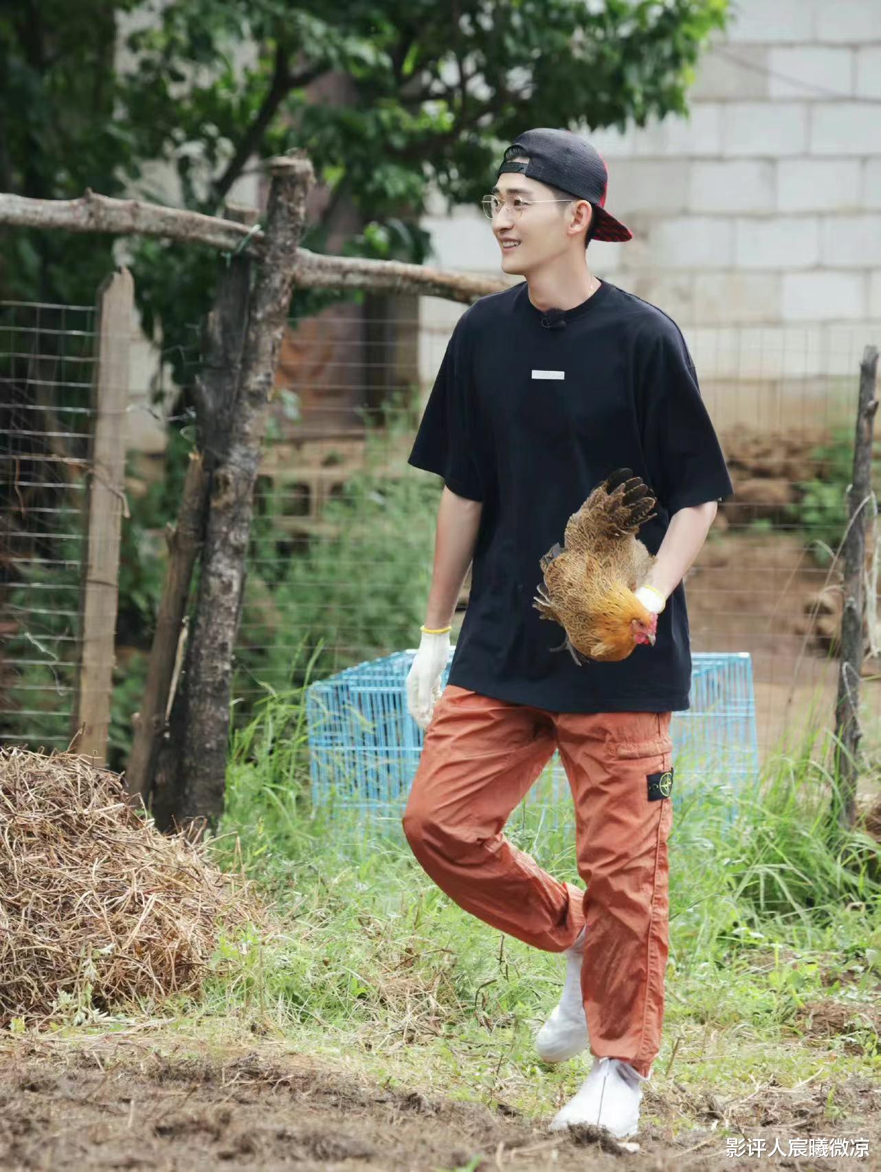 张翰|“快男”“浪姐”齐助攻,张翰、容祖儿的慢综艺终于在收官时火了