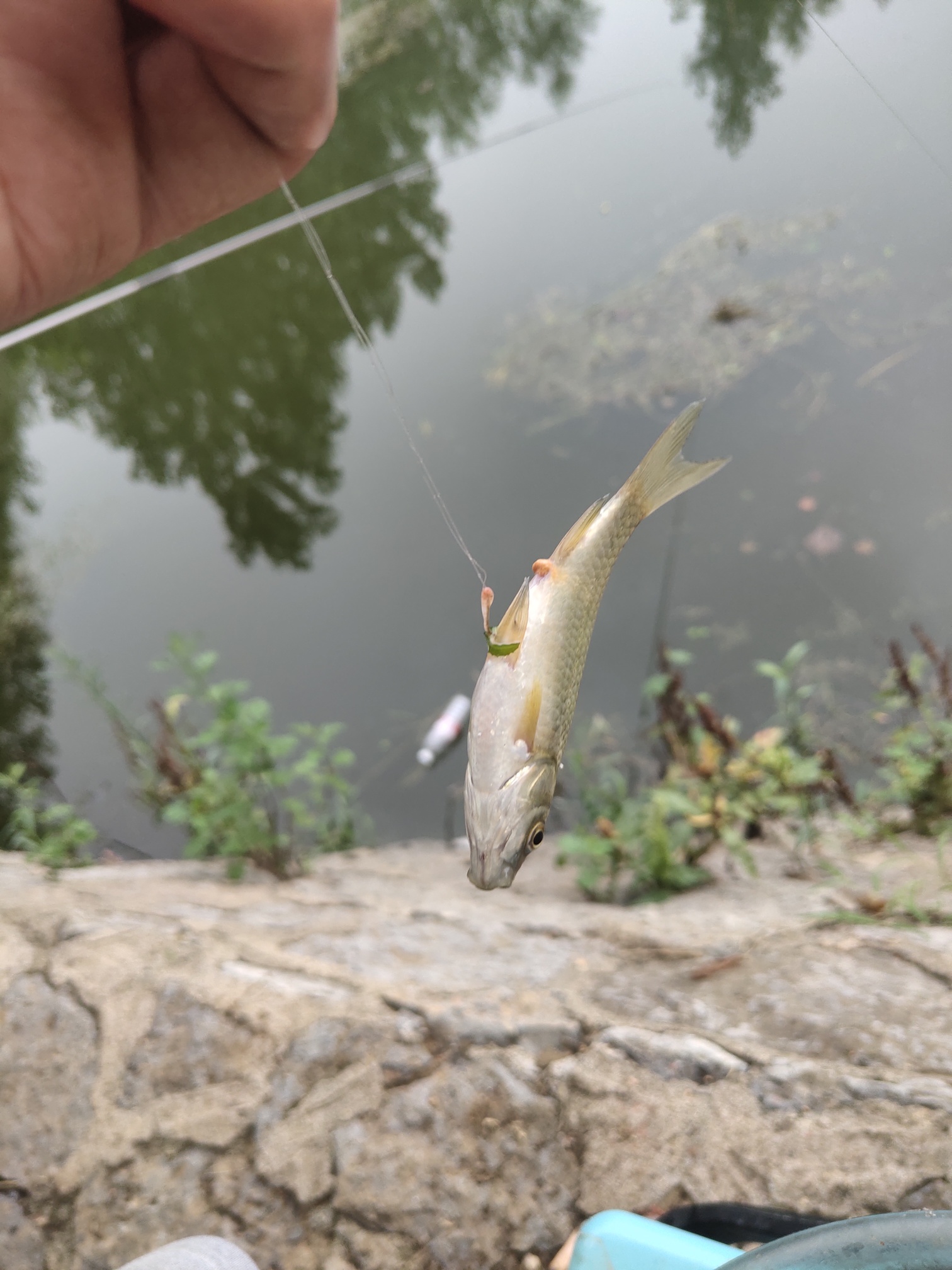 钓鱼|一场商量好的胜利渠之行,一场商量好的胜利渠之行