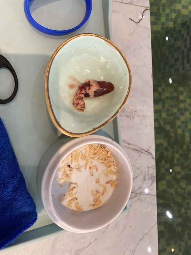 |新年新体验,新鲜又过瘾!