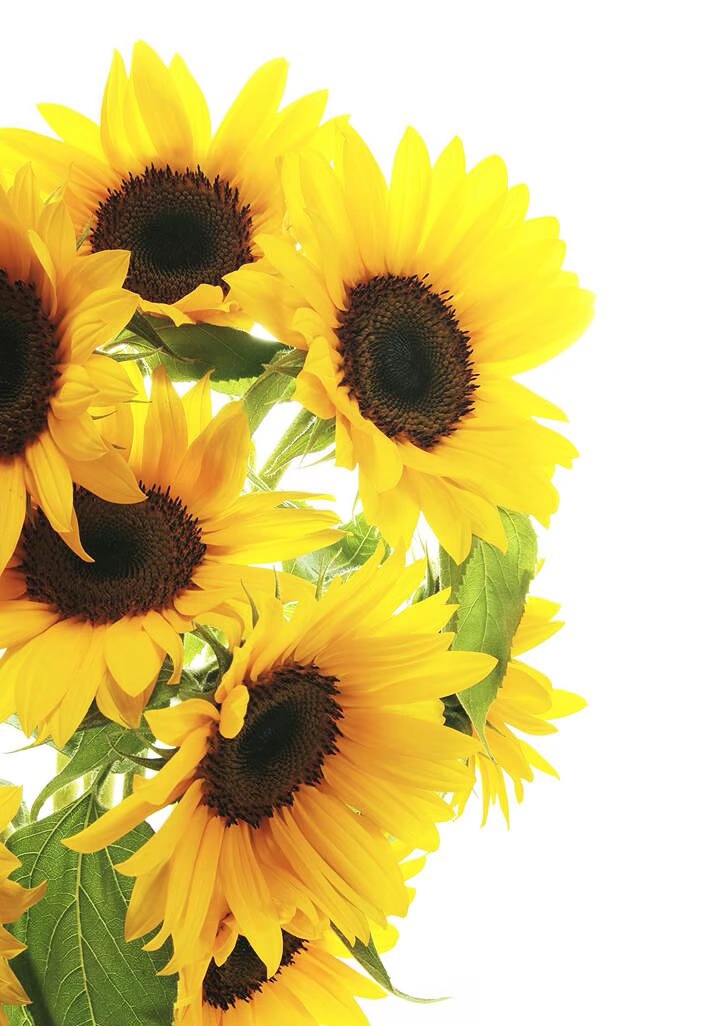 得空就摸鱼 如果你即将步入婚姻殿堂，几个婚姻的真相，教你看清自己。