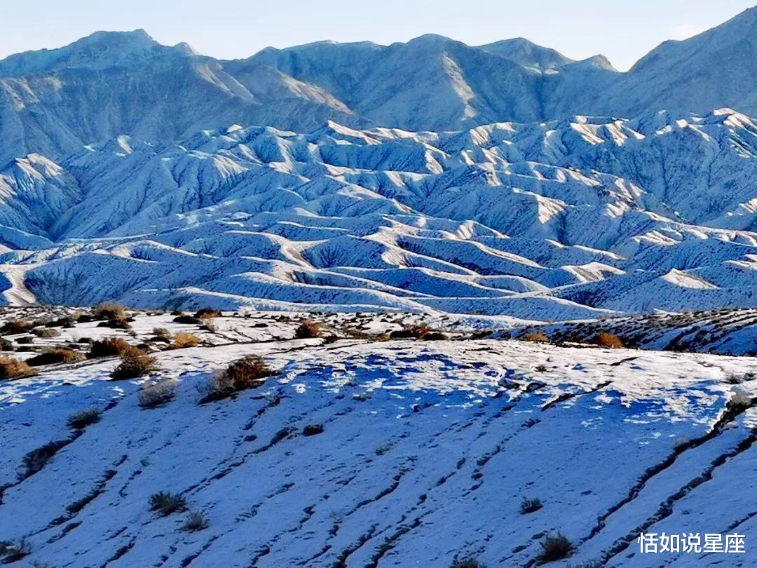 胡杨林|中国最贵的景区,一张门票3500元,外国人进去要交30万