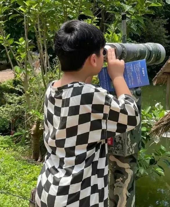 林志颖|林志颖发文庆祝双胞胎儿子生日!晒兄弟俩背影照,身形完全不同