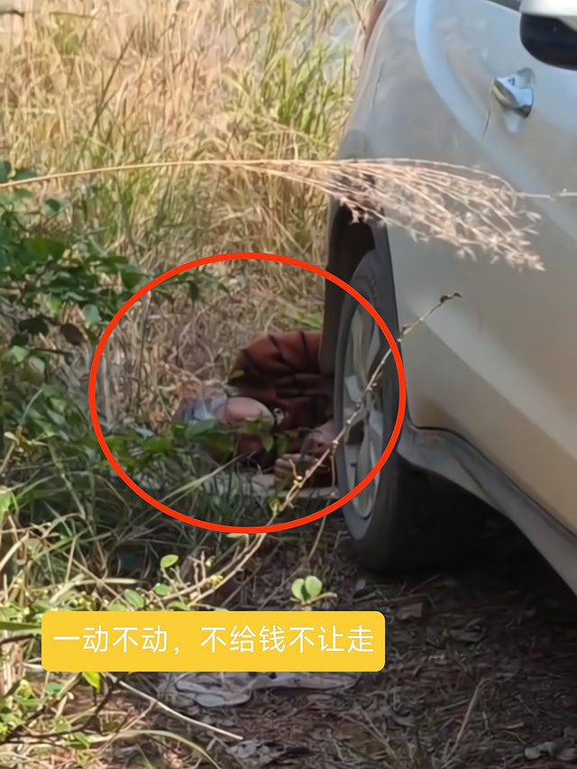 碰瓷|男子在野外钓鱼，回来发现一个老人躺在车尾：不给钱别想走