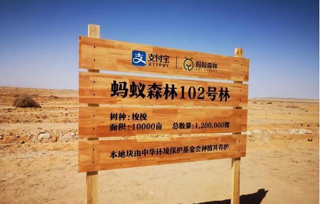 马云|蚂蚁森林：马云承诺在沙漠里种树，如今六年已经过去，树怎样了？
