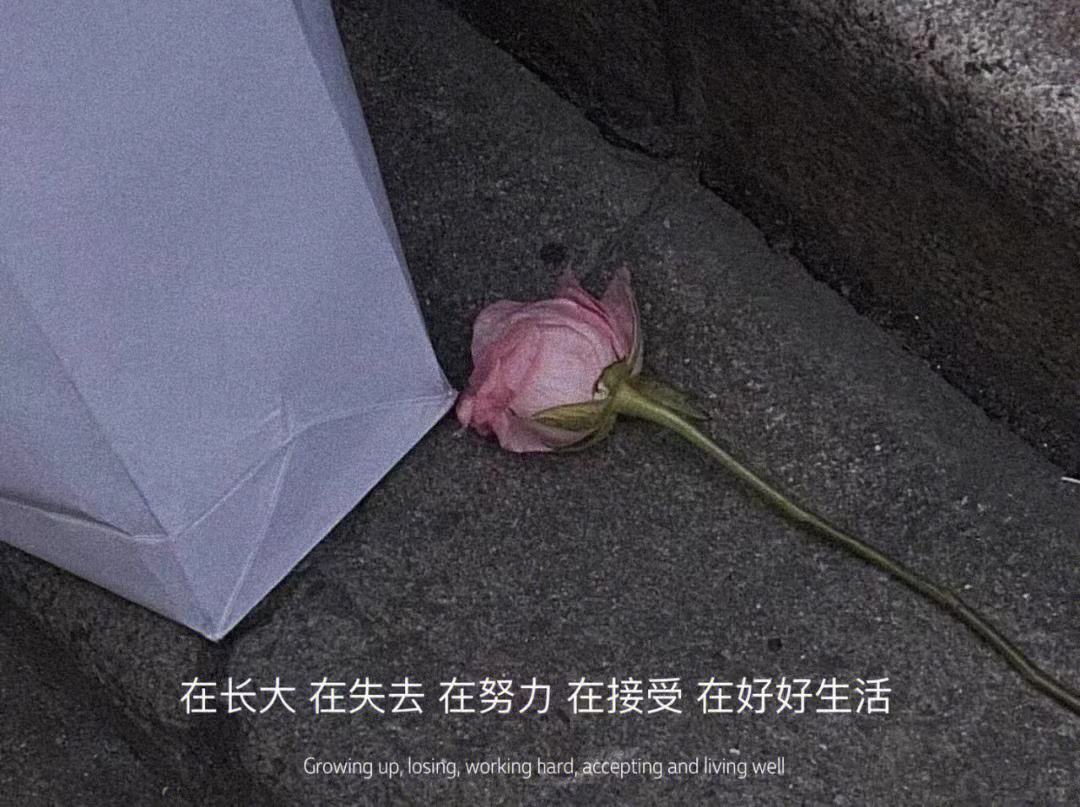iPhone14|文案|提醒自己要保持清醒的文案