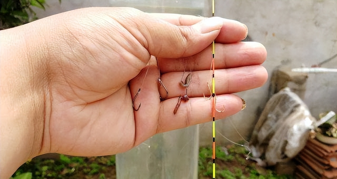 饵料|蚯蚓钓鱼并不是万能的!遇到这几种情况时别用,反而会降低鱼获