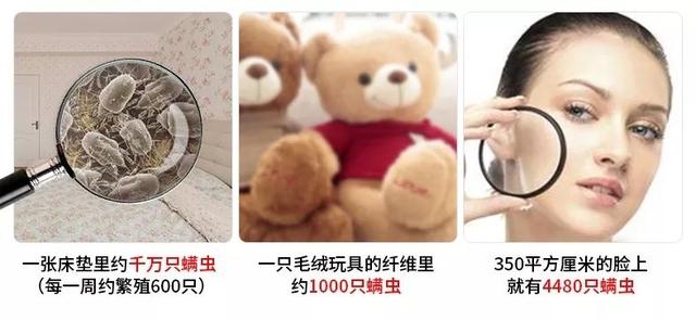 被子盖久了“有异味”?教你一招,不用晒不用洗,干净又杀菌