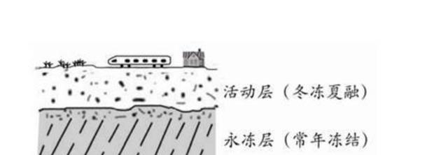 地球潘多拉魔盒开了?北极发现史前生物尸体,学者为何感到不安?