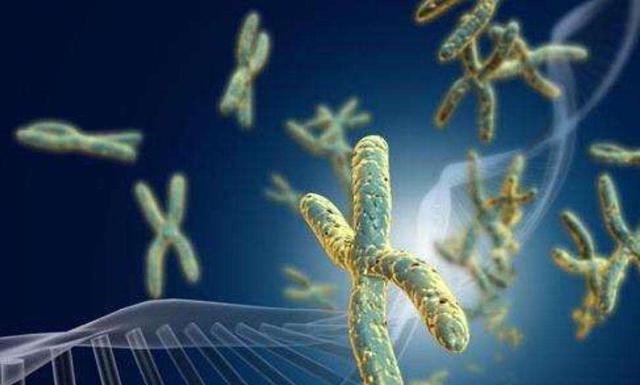丹麦科学家称人类可延寿200年?先不说真假,穷人有机会吗?