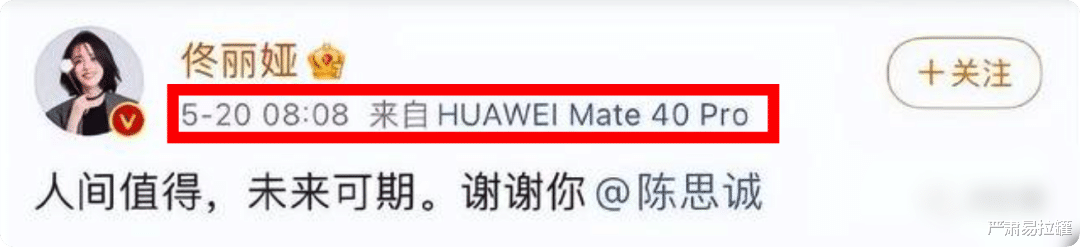 陈思诚|孕期出轨、新欢不断,这都能复婚?