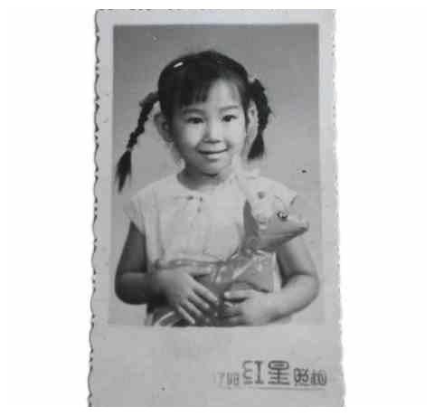 相片就是利器,看预审专家如何打开闸北8.7特大拐卖人口案的缺口