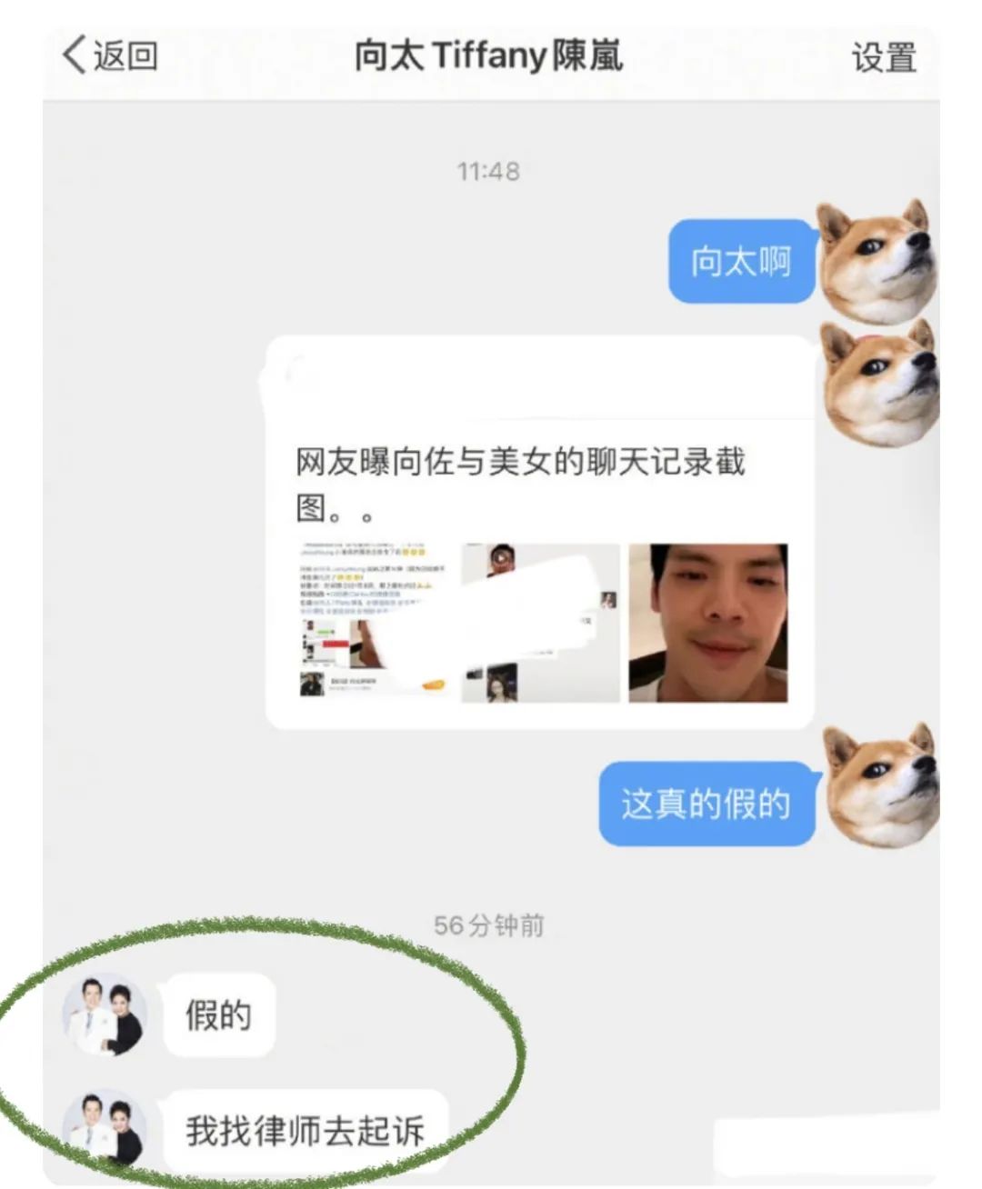 陈岚|强母懦儿！比起缩头乌龟向佐，强势虎妈向太陈岚才是真正的狠人