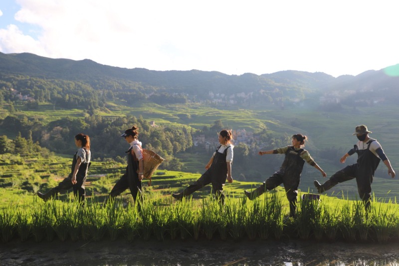 梯田|夏日“凉”方:热热热!有一种避暑叫躲进山里住