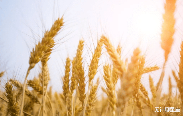 狮子座|7月，4个星座，朋友增多，贵人涌现，事业迎来许多机会和挑战