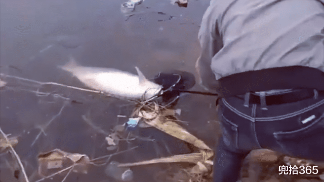 |男子好不容易钓到一条大鱼，生生让朋友给放跑了，网友：都是天意