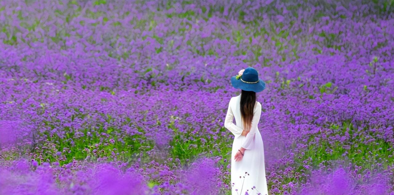 |成年人的世界，少管他人闲事，关系再好也不行