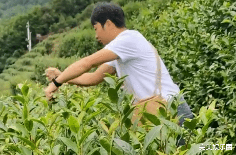 杨槠策|分手2个月杨槠策身边再现新欢，称紫衣女子是挚爱，要让小余后悔