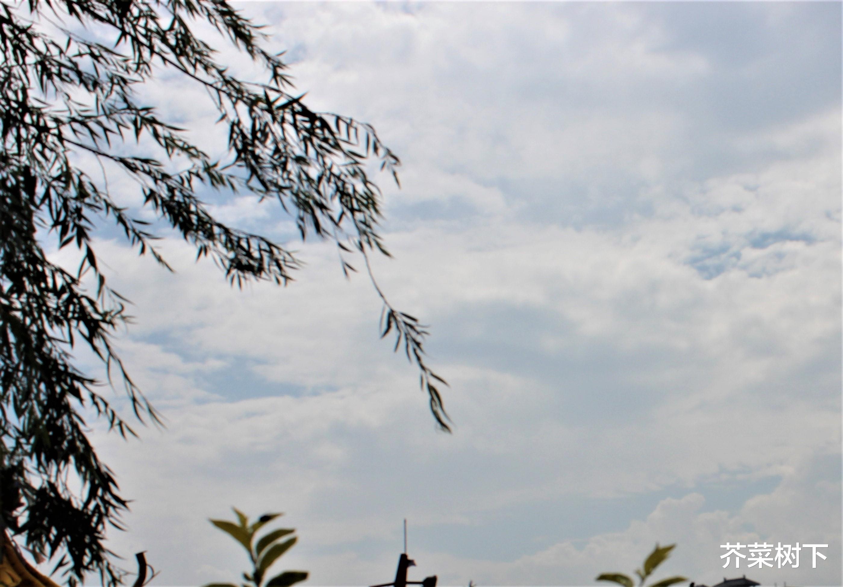 |职场毛病多，多在太肤浅