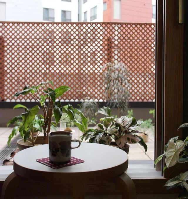 一个38岁女律师的家:独居90㎡,与狗为伴,自由自在,快乐翻倍!