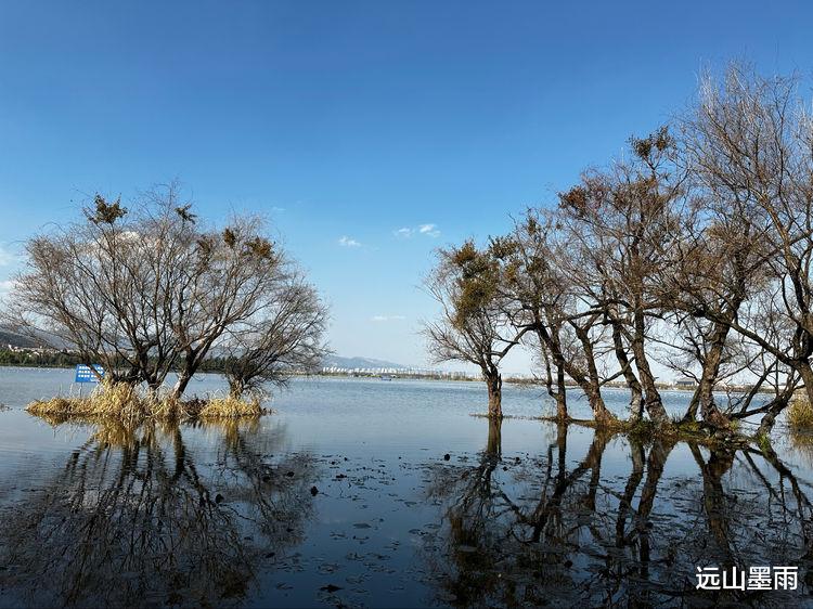 草海|环走昆明滇池草海、享受水天一色，我们开启了新年徒步之旅