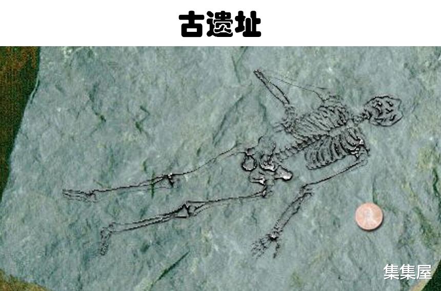 科学家在南极发现了巨型恐怖鸟化石,来自南极洲的5个奇怪发现