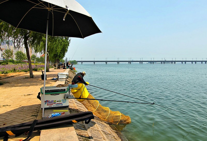 相声|渔乐杂谈:夏季钓鱼22问之篇1(夏季是不是钓鱼的好季节?)