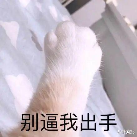 瞿颖|第一名模谋女郎的风流瓜