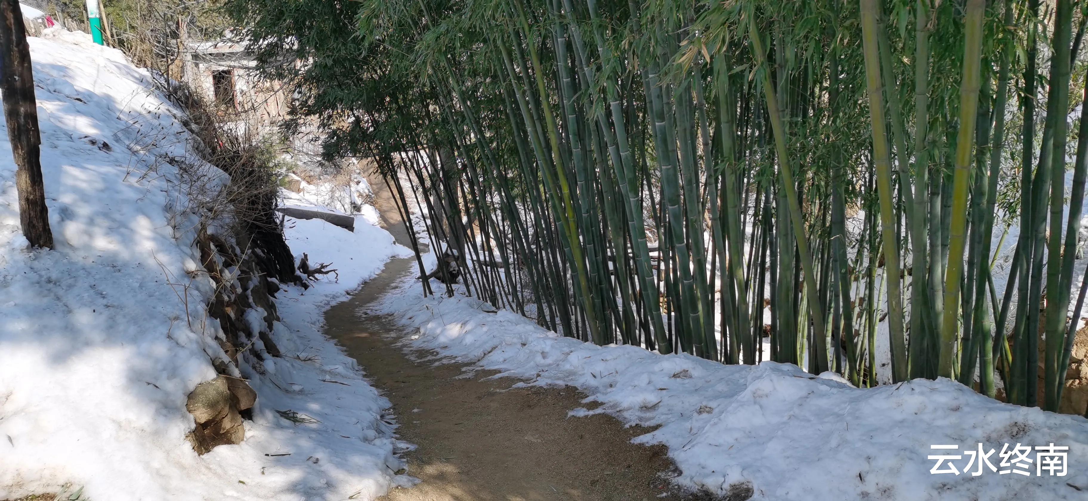 |探秘蓝田大石沟，大过年的却没有年轻人，除了老人就是迷人的雪景