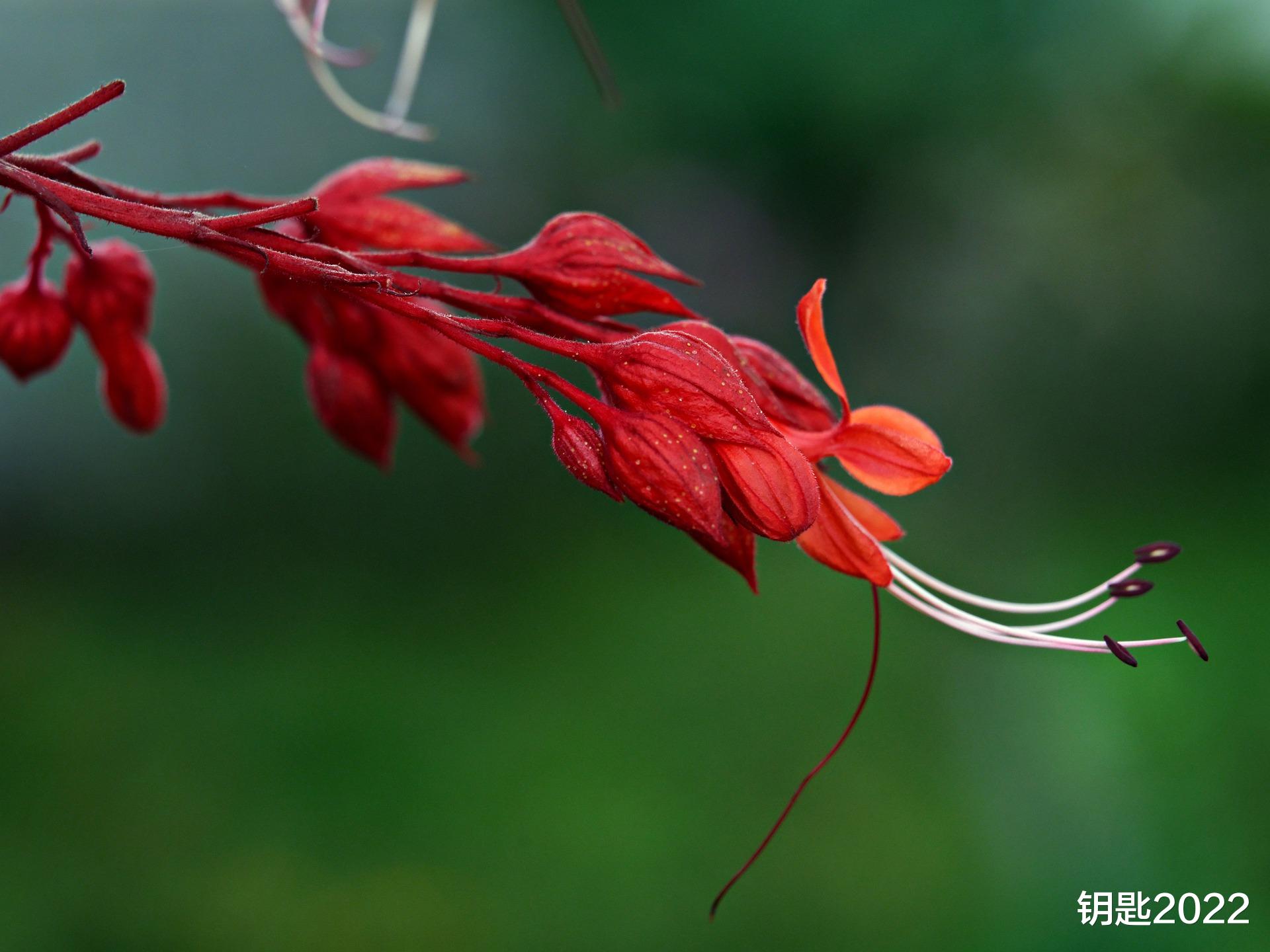 西宁|求求你，签完合同再干活