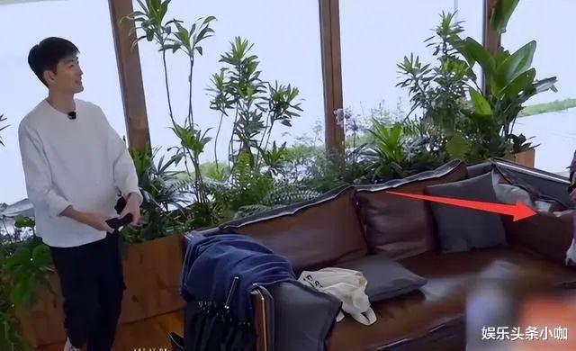 张翰|他靠帅火出圈？是我审美出问题了吗？！