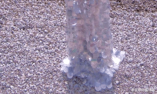 徐璐|徐璐在云南拍写真，把一地碎石当沙滩，躺在上面摆造型