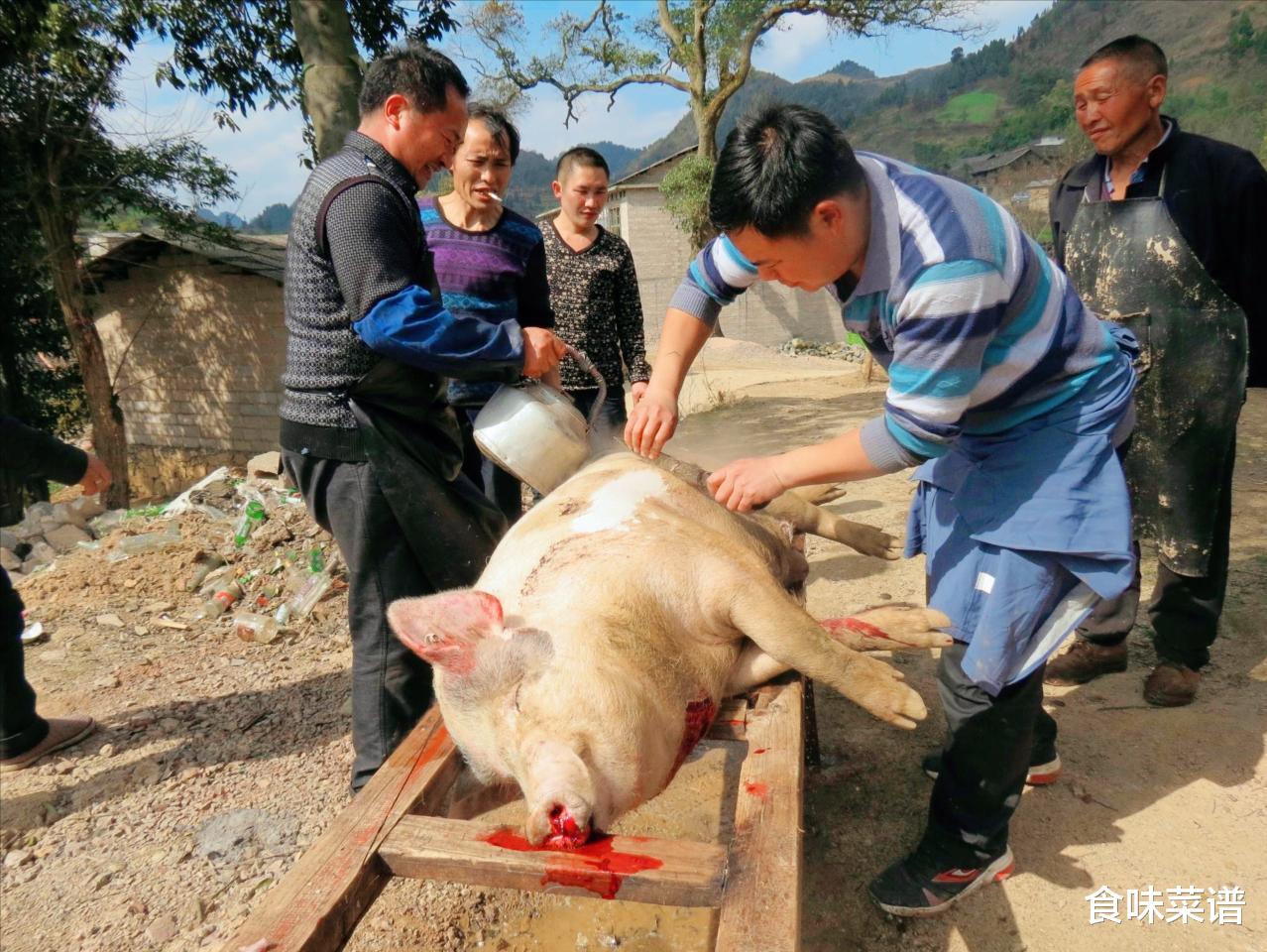 明天腊月二十六,俗称“割年肉”,要备齐五种年货,年味越来越浓