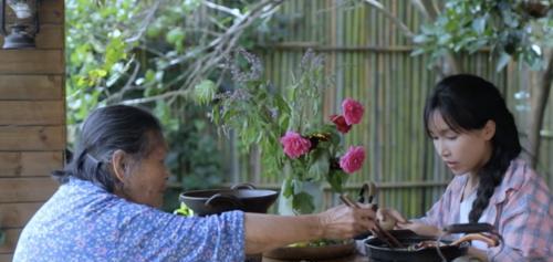 李子柒|赚22亿仅得300万，被“资本”捧红又丢弃？“李子柒”害了李子柒