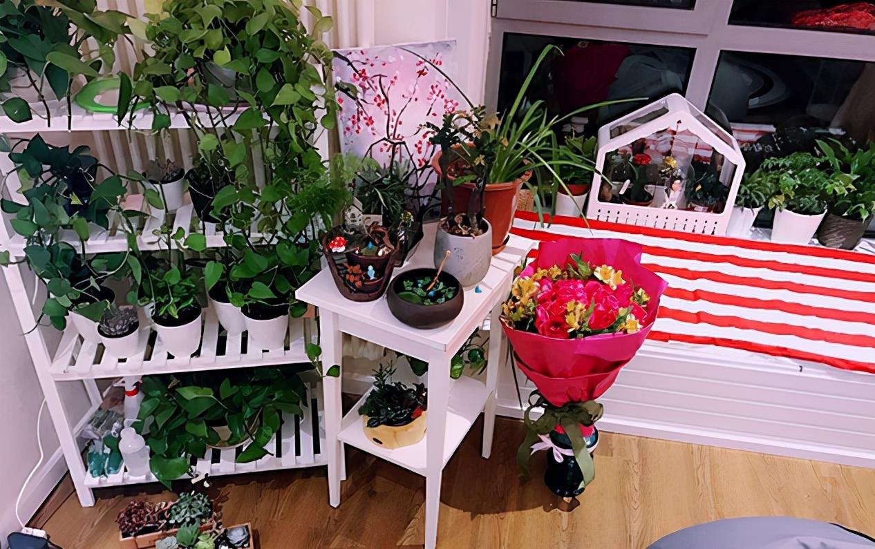 走进演员童飞的家,一家人挤在小房子里,生活过得不富裕却很温馨