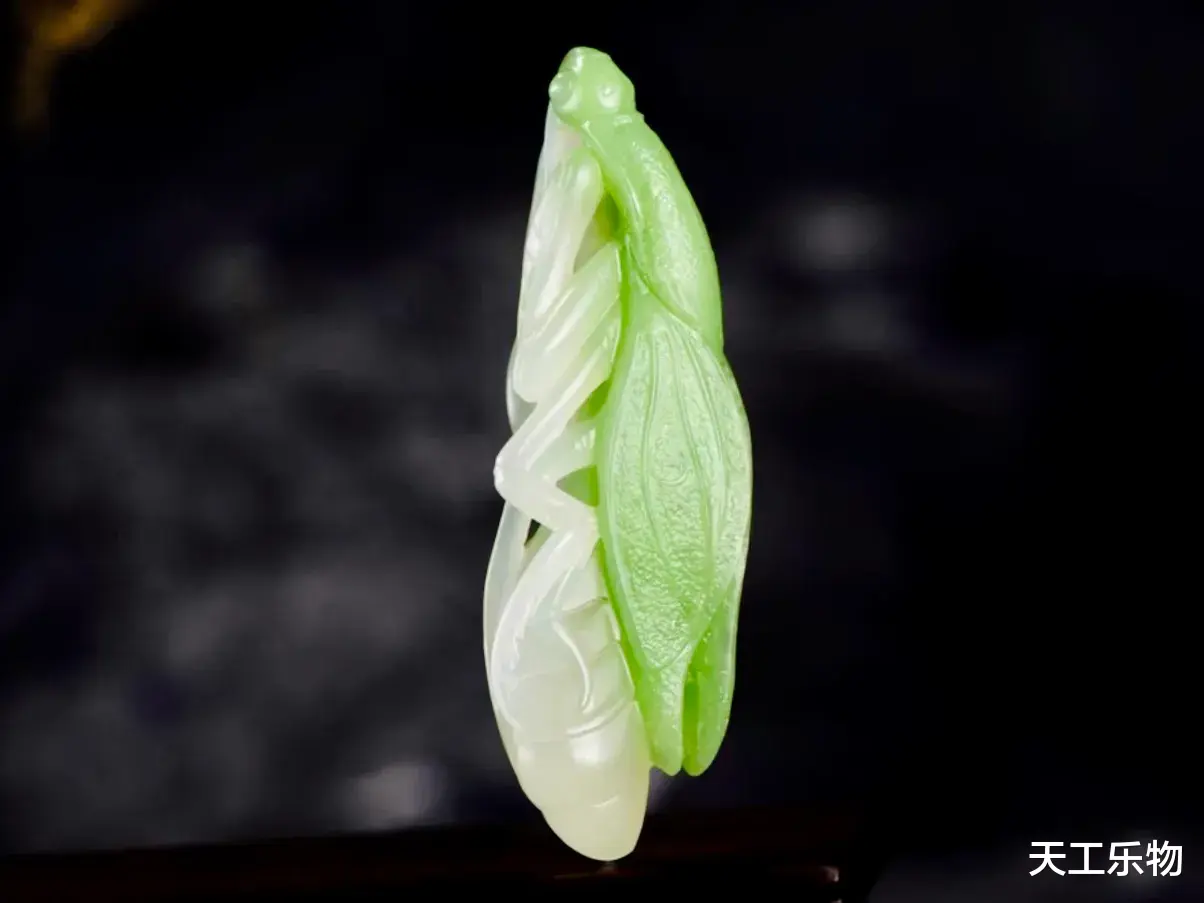 钱币|和田玉的玉中翠!五德加身的小螳螂!青海翠青料“金玉满堂”!