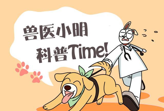 女子发动汽车后闻到焦味，下车打开引擎盖一看，谁这么缺德？